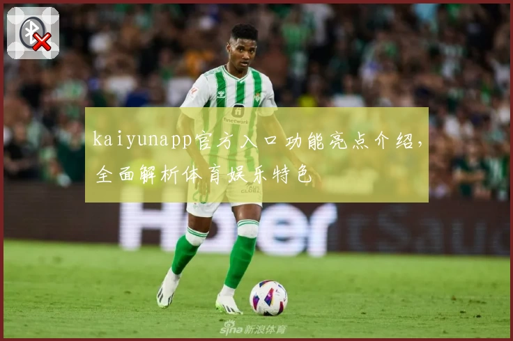 kaiyunapp官方入口功能亮点介绍，全面解析体育娱乐特色