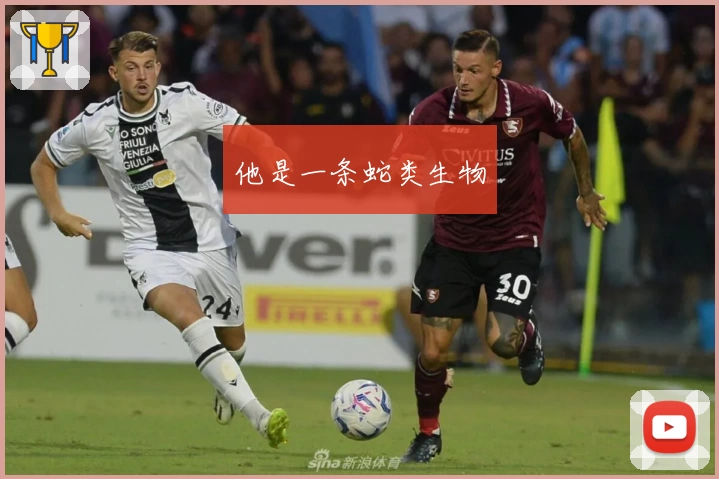 他是一条蛇类生物