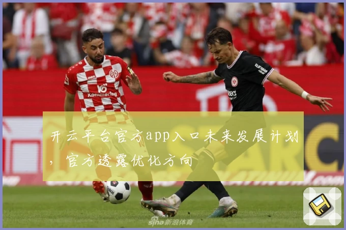 开云平台官方app入口未来发展计划，官方透露优化方向