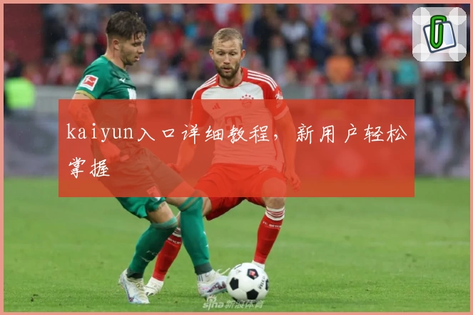 kaiyun入口详细教程，新用户轻松掌握